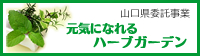 元気になれるハーブガーデン